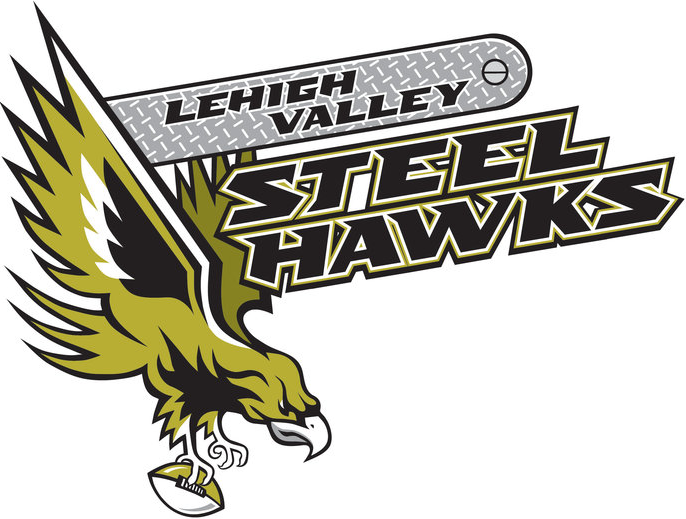 Lehigh Valley Steelhawks 2013-Pres Primary Logo diy iron on transfers for clothing
